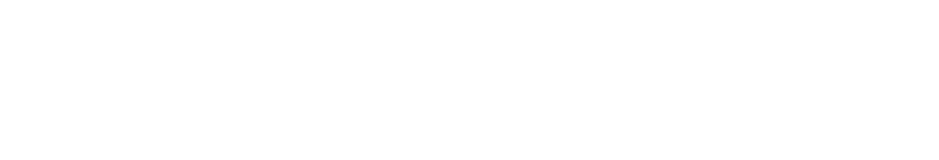 Logo Partner 1